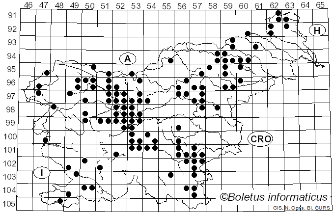 <i>Strobilurus</i> Singer (1962)
