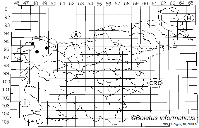 <i>Cladonia bellidiflora</i> (Ach.) Schaer. (1823)