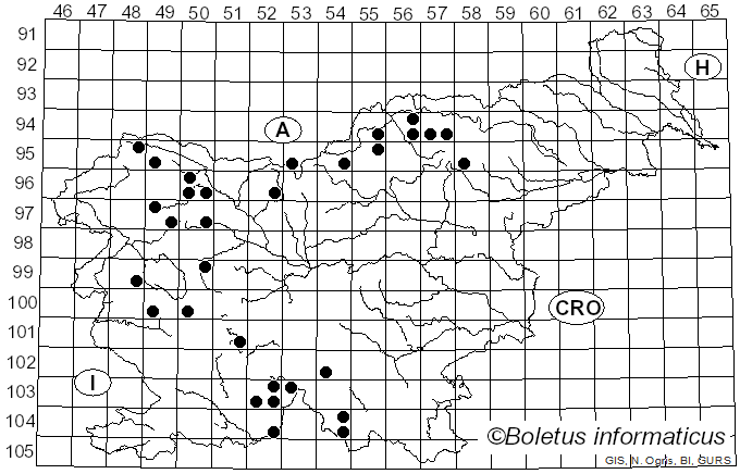 <i>Anaptychia ciliaris</i> subsp. <i>ciliaris</i> (L.) Körb. (1853)
