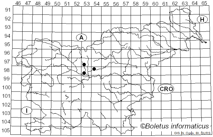 <i>Triphragmium ulmariae</i> (DC.) Link (1825)