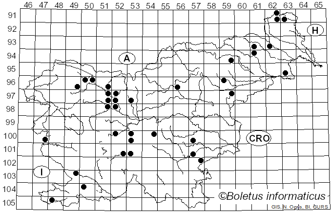 <i>Xylodon</i> (Pers.) Gray (1821)