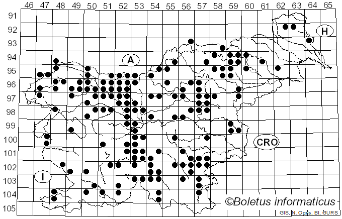 <i>Guepinia helvelloides</i> (DC.) Fr. (1828)