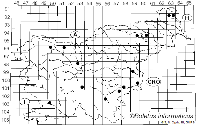 <i>Mycena niveipes</i> (Murrill) Murrill (1916)