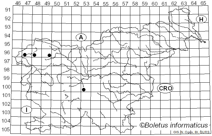 <i>Lycogala terrestre</i> Fr. (1817)