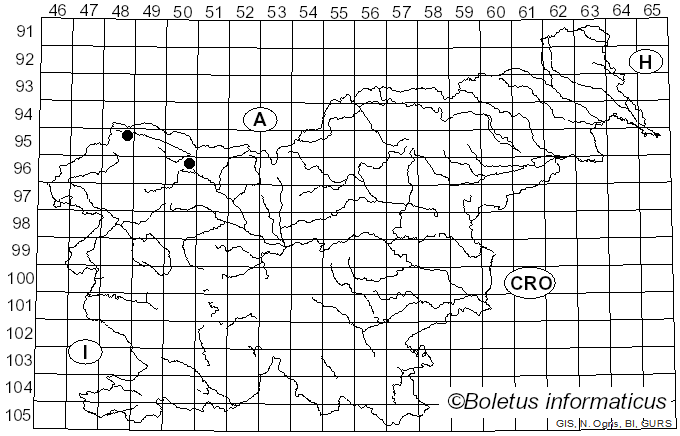 <i>Ramularia agrestis</i> Sacc. (1882)