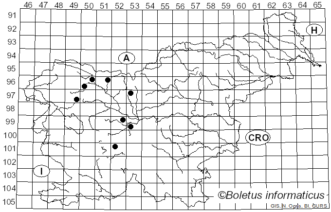 <i>Cryptomycina pteridis</i> (Rebent.) Höhn. (1917)