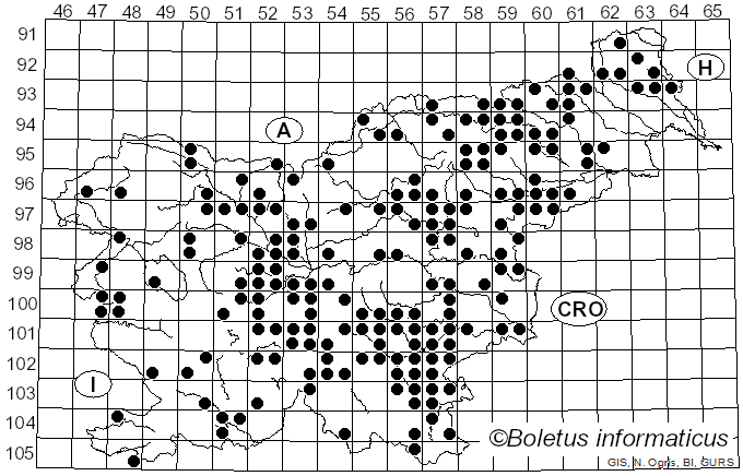 <i>Butyriboletus appendiculatus</i> (Schaeff.) D. Arora & J.L. Frank (2014)