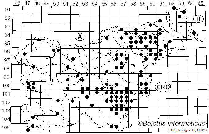 <i>Pluteus salicinus</i> (Pers.) P. Kumm. (1871)