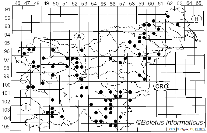 <i>Plicaturopsis crispa</i> (Pers.) D.A. Reid (1964)