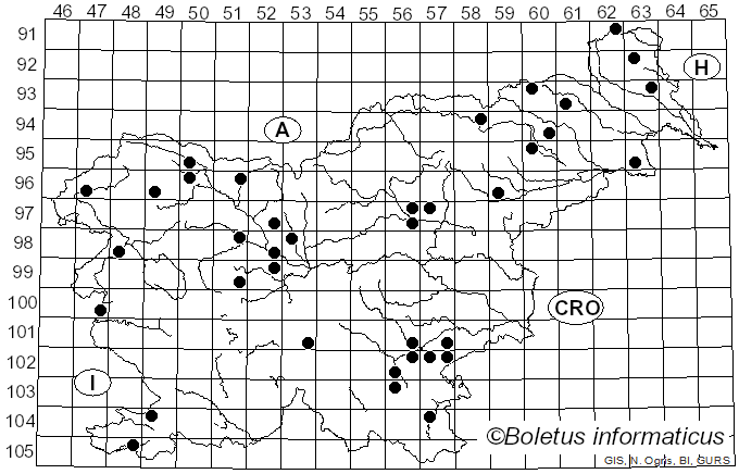 <i>Peziza varia</i> (Hedw.) Fr. (1822)