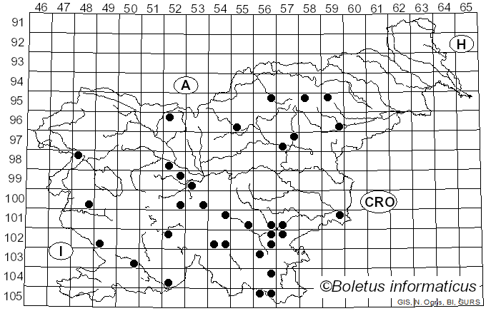 <i>Imperator torosus</i> (Fr.) Assyov et al. (2015)