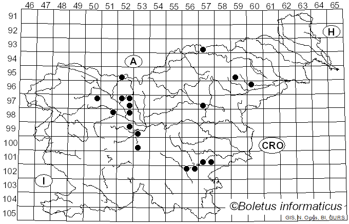 <i>Entocybe</i> T.J. Baroni, V. Hofst. & Largent (2011)