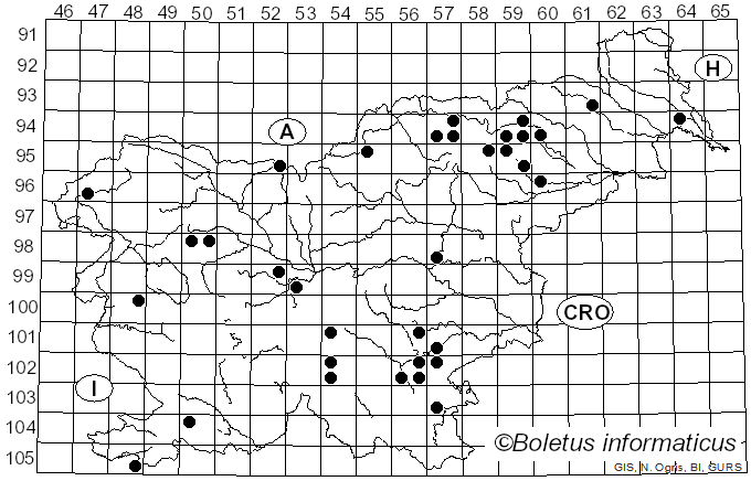 <i>Hypomyces chrysospermus</i> Tul. & C. Tul. (1860)