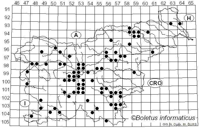 <i>Lactarius pterosporus</i> Romagn. (1949)