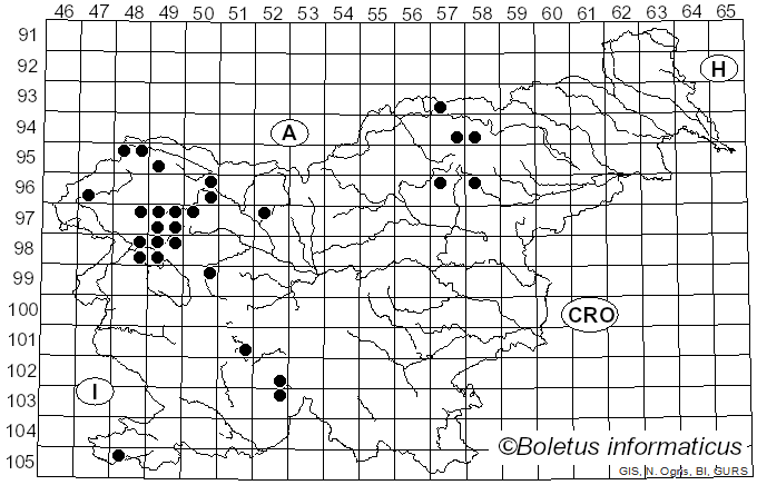 <i>Punctelia subrudecta</i> (Nyl.) Krog (1982)