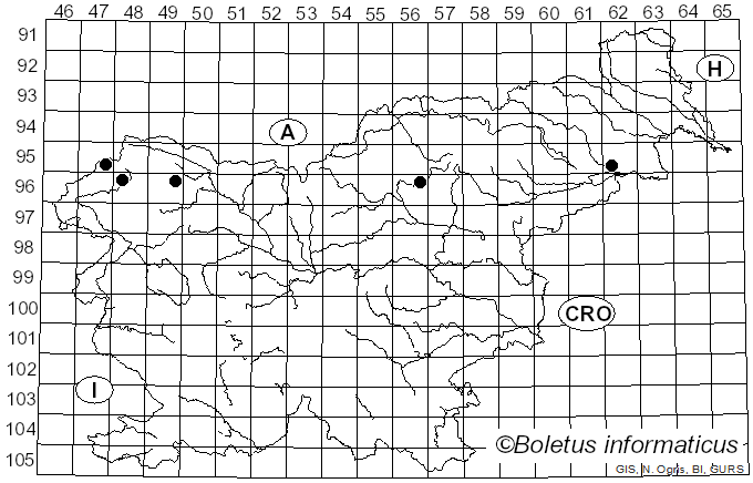 <i>Melampsora epitea</i> Thüm. (1879)
