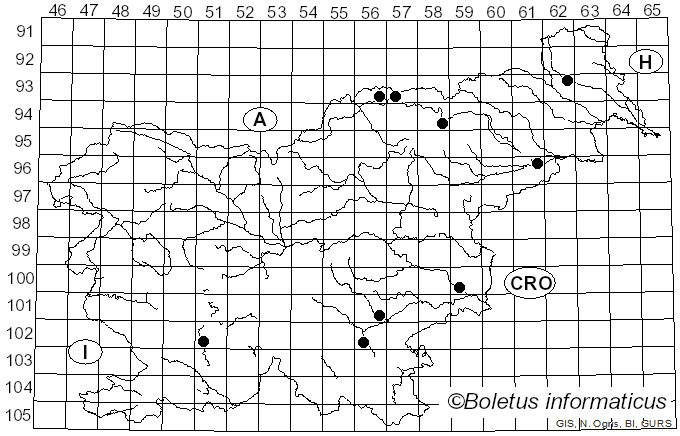 <i>Acantholyda</i> Costa (1894)