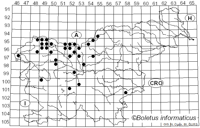 <i>Chrysomyxa</i> Unger (1840)