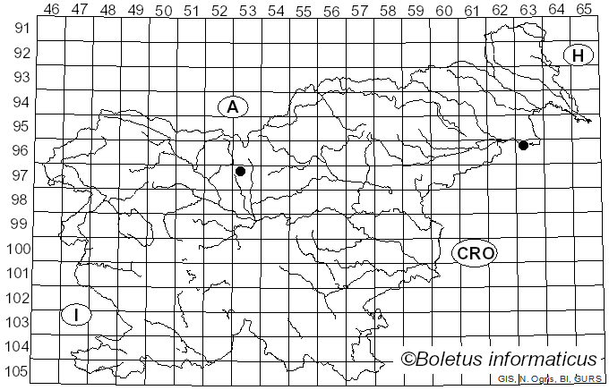 <i>Calycina vulgaris</i> (Fr.) Baral (1989)