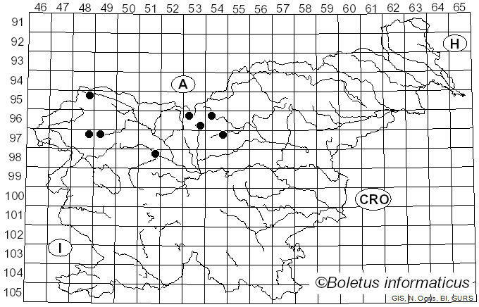 <i>Cheilosia nigripes</i> Meigen