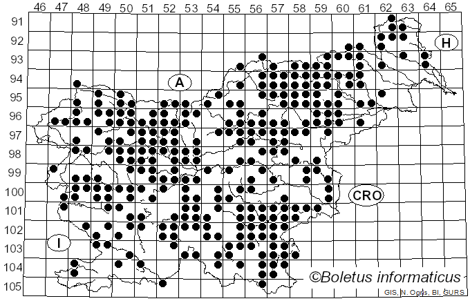 <i>Gloeophyllum</i> P. Karst. (1882)