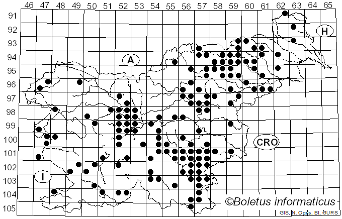<i>Russula risigallina</i> (Batsch) Sacc. (1915)