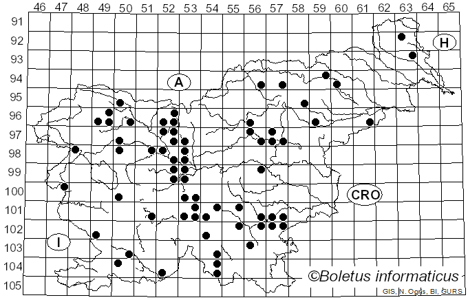<i>Pluteus atromarginatus</i> (Konrad) Kühner (1935)
