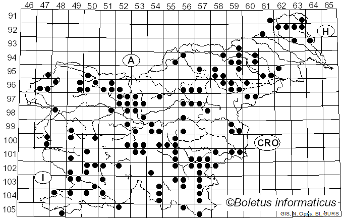 <i>Xylaria hypoxylon</i> (L.) Grev. (1824)