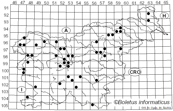 <i>Cortinarius cinnabarinus</i> Fr. (1838)