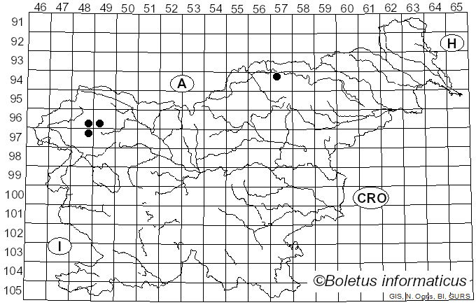 <i>Chaenotheca trichialis</i> (Ach.) Th. Fr. (1980)