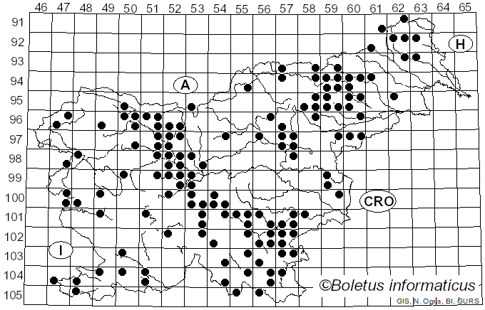 <i>Tremella mesenterica</i> (Schaeff.) Pers. (1801)