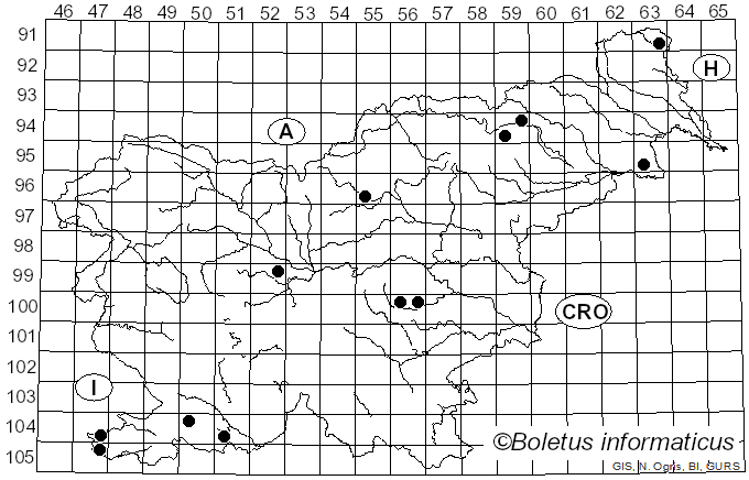 <i>Hortiboletus engelii</i> (Hlaváček) Biketova & Wasser (2015)