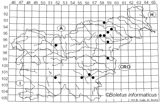 <i>Russula font-queri</i> Singer (1936)