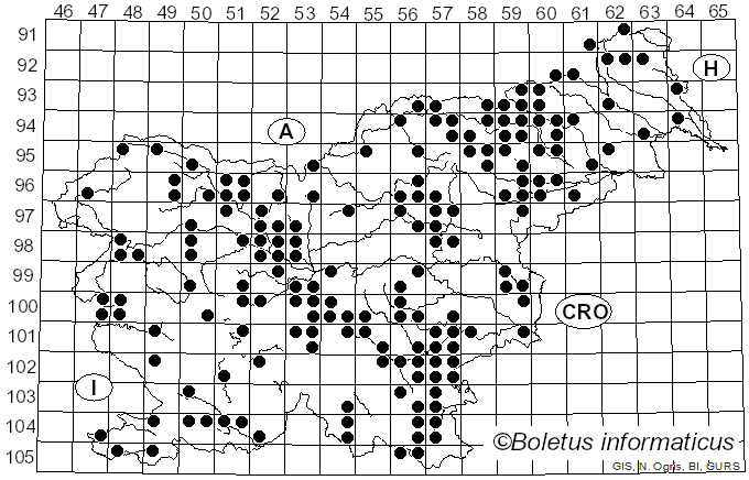 <i>Lentinus</i> Fr. (1825)