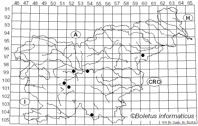 <i>Sticta fuliginosa</i> (Dicks.) Ach. (1803)