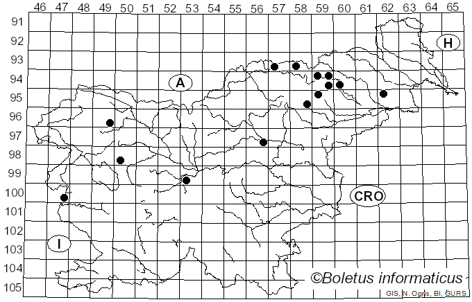 <i>Inocybe assimilata</i> Britzelm. (1881)