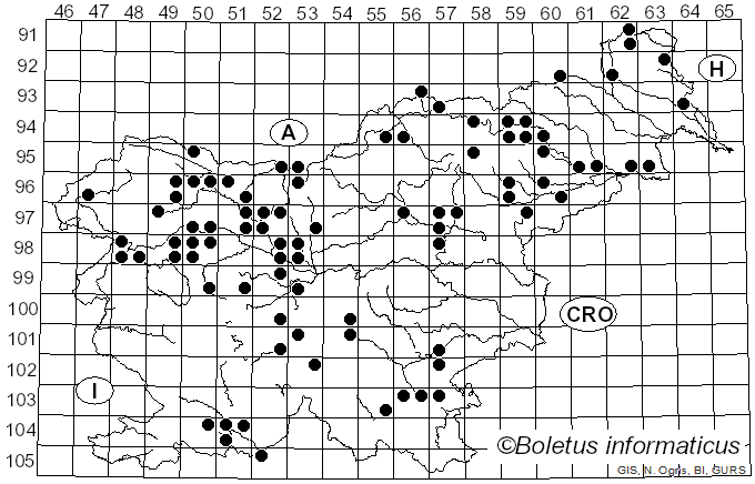 <i>Neolentinus</i> Redhead & Ginns (1985)