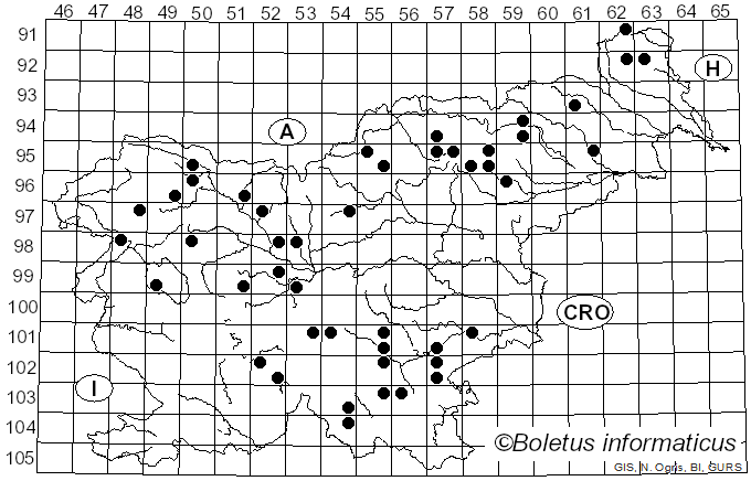 <i>Amylostereum</i> Boidin (1958)