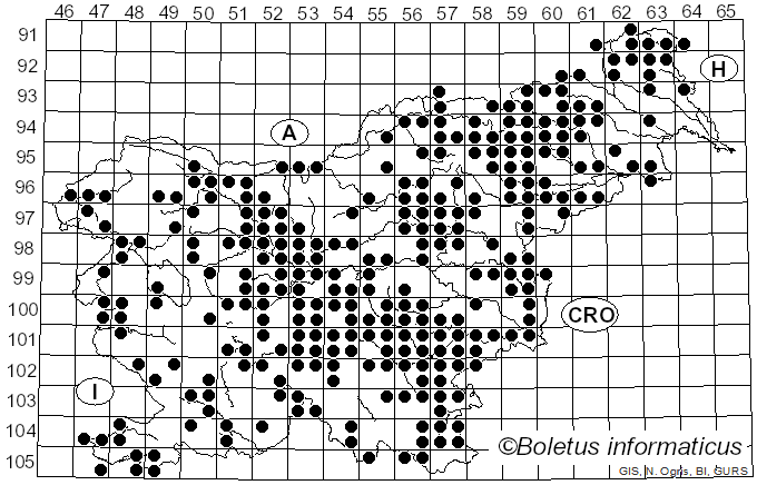 <i>Psathyrella</i> (Fr.) Quél. (1872)