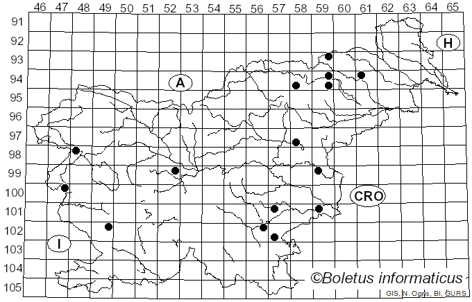 <i>Leucoagaricus subcretaceus</i> Bon (1981)