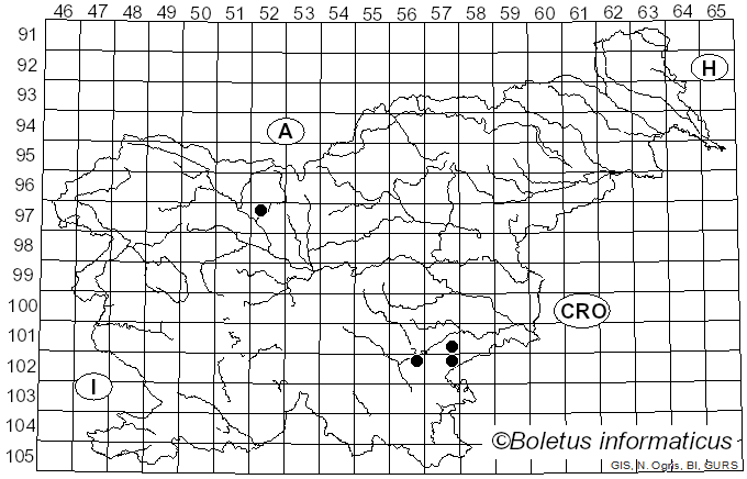 <i>Tricholoma coryphaeum</i> (Fr.) Gillet (1874)