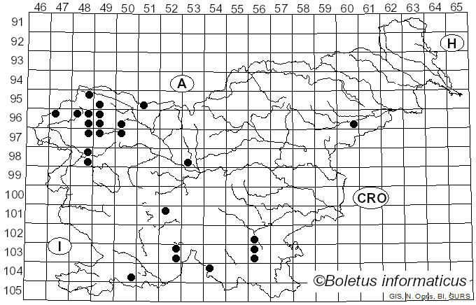 <i>Peltigera horizontalis</i> (Huds.) Baumg. (1790)