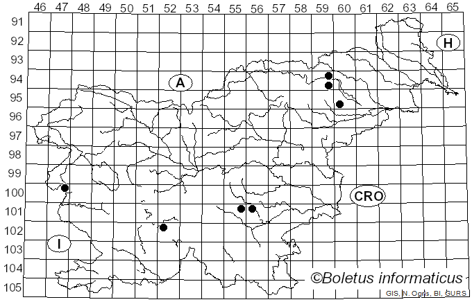 <i>Cortinarius fulmineus</i> (Fr.) Fr.