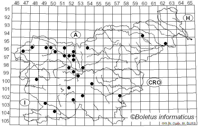<i>Discina</i> (Fr.) Fr. (1849)