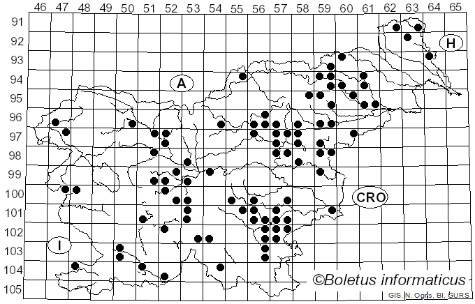 <i>Butyriboletus regius</i> (Krombh.) D. Arora & J.L. Frank (2014)