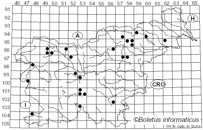 <i>Lactarius albocarneus</i> Britzelm. (1895)