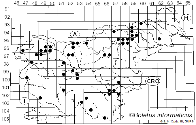 <i>Russula nauseosa</i> (Pers.) Fr. (1838)