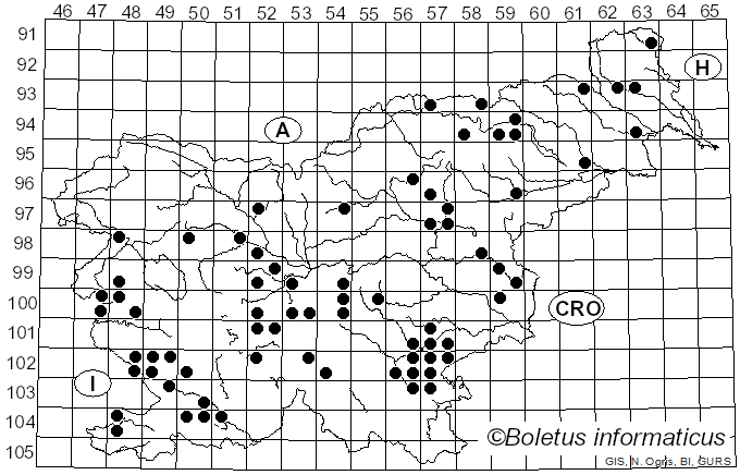 <i>Agaricus urinascens</i> (Jul. Schäff. & F.H. Møller) Singer (1951)