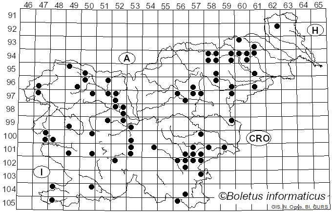 <i>Hemimycena</i> Singer (1938)