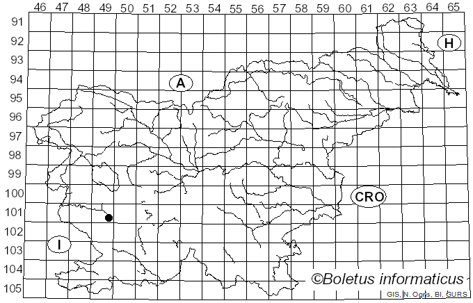 <i>Saperda carcharias</i> Linnaeus (1758)